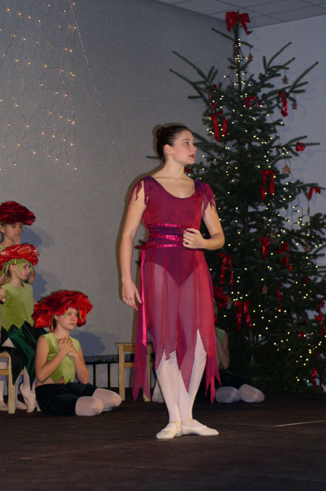 Dornroeschenstadt004.jpg