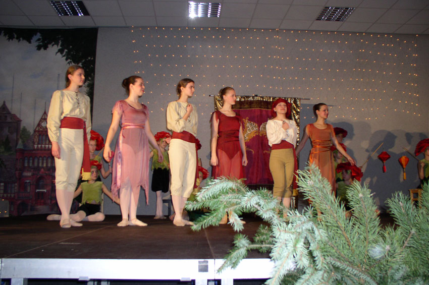 Dornroeschenstadt010.jpg