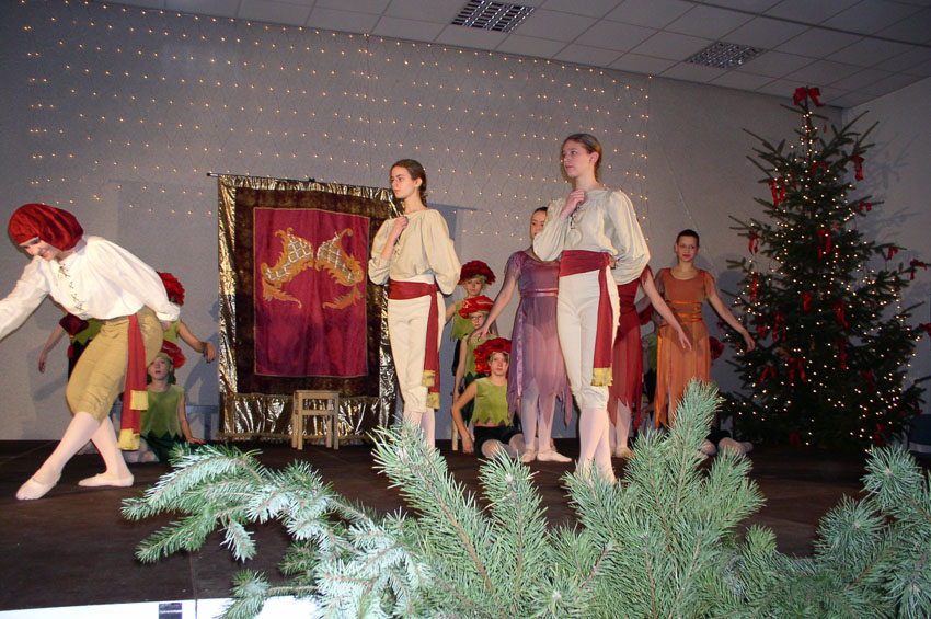 Dornroeschenstadt012.jpg