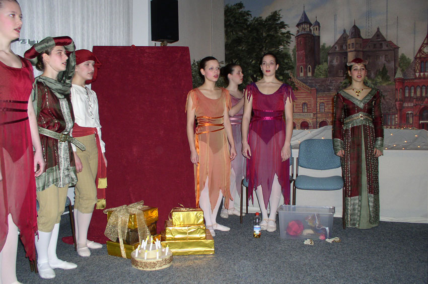 Dornroeschenstadt033.jpg