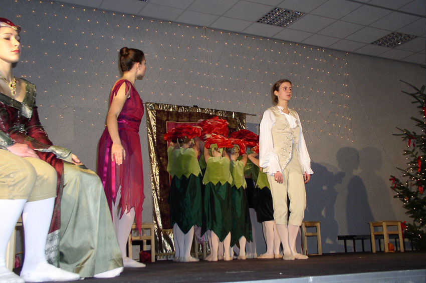 Dornroeschenstadt055.jpg